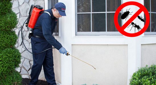 Susurluk Karınca İlaçlama böcek ilaçlama ve haşere kontrolü — ilaclama-tr.com